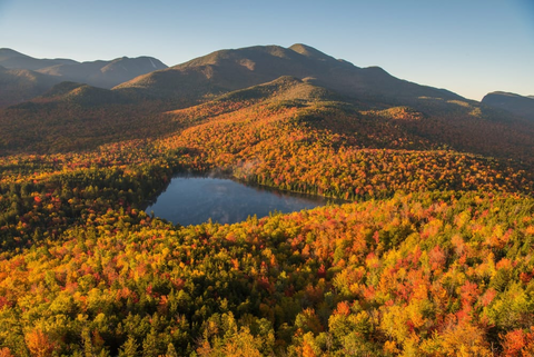 Giant Mountain Trail  landscape